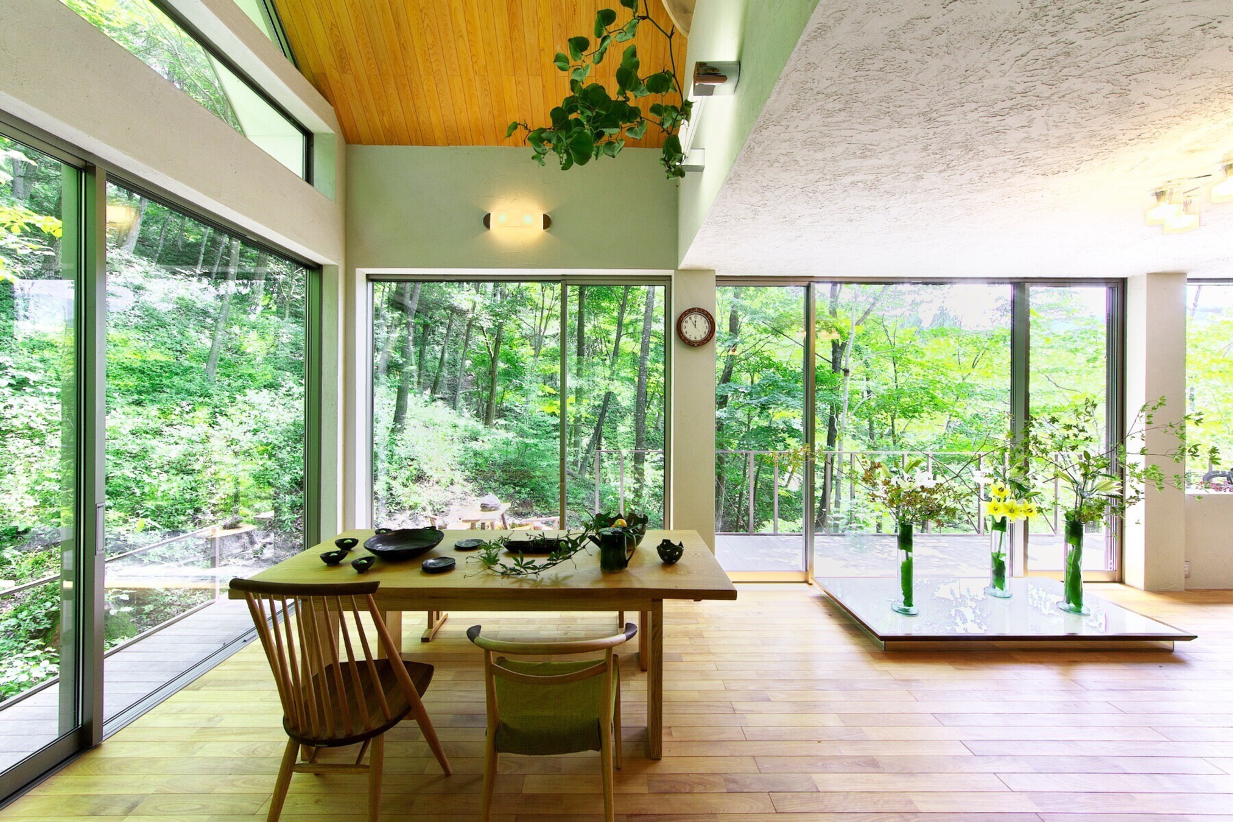 晏如庵 anjoan PhotoS