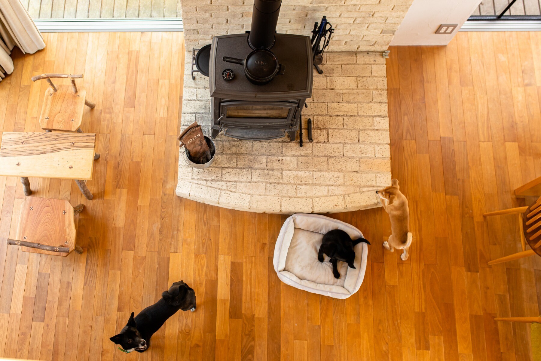 DoTano -どうぶつと楽しい家-